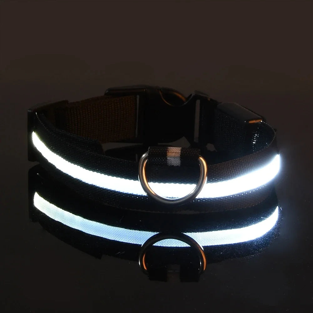 Dog Collar Nylon LED Night Safety Flashing Glow In The Dark - MyLuxuryFurnitures